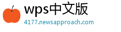 wps中文版